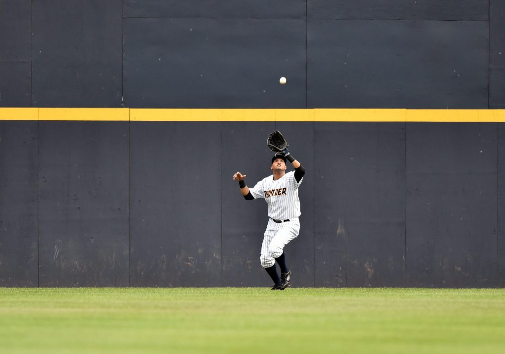 Fly ball - what is a po in baseball