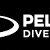 Get Involved With Marine Conservation Travel