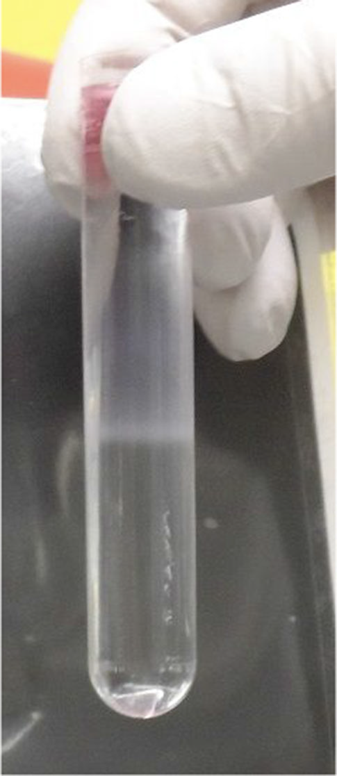 A close-up of a test tube Description automatically generated with medium confidence