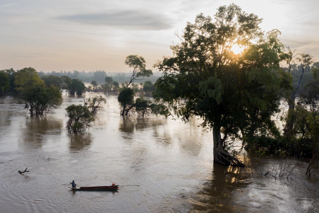 A fisher works between the trees of the flooded forest