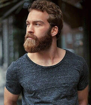 Professional Beard