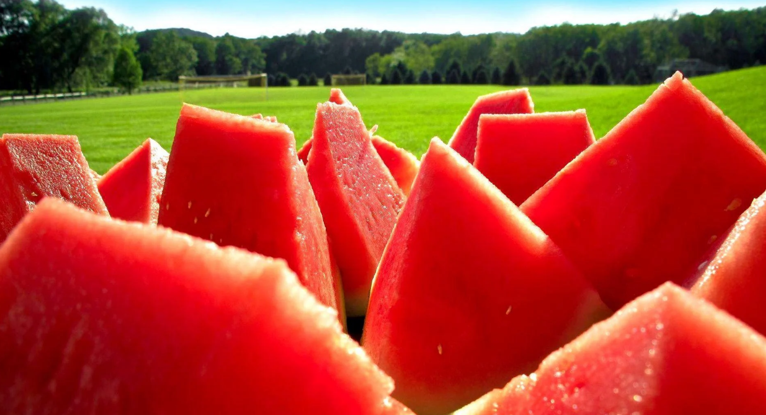 Water mellon helps to boost the body