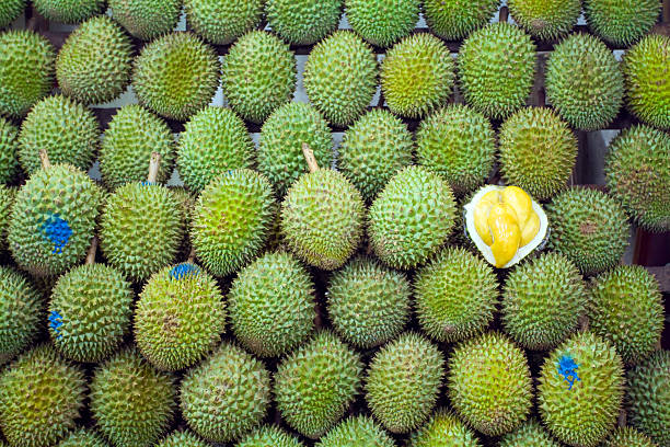 Durian Fruit Near Me