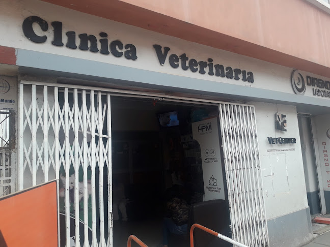 Vet Center - Veterinario