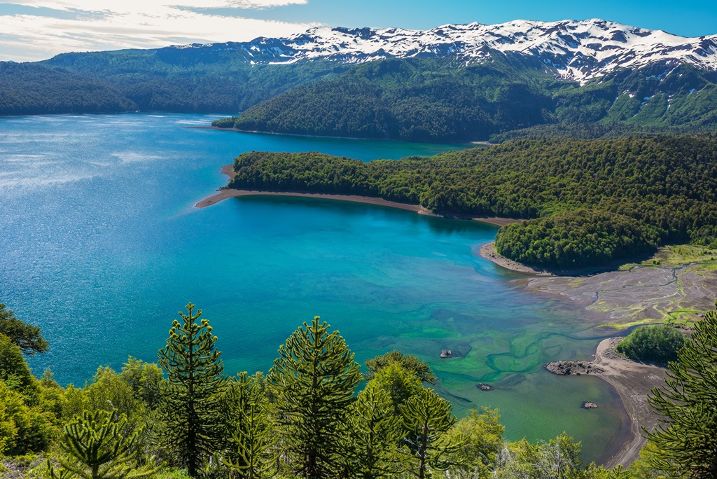 Conguillo Lake, Chile