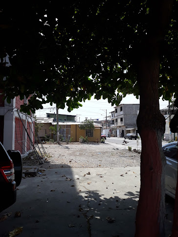 Opiniones de Escuela De Educacion Basica Luis Chiriboga Manrrique en Guayaquil - Escuela