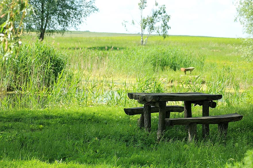 https://p0.pikist.com/photos/446/379/bench-nature-picnic-rest-spring-green-landscape-water.jpg