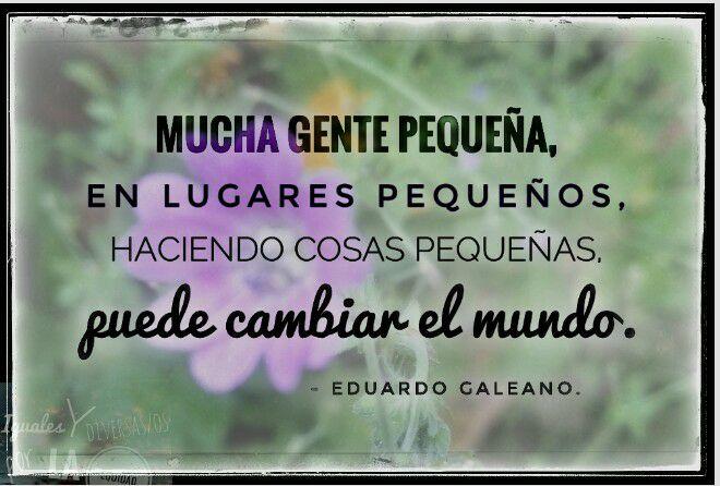 Diversidad Igualdad y Equidad: 10 Frases sobre EDUCACIÓN (social) parte I