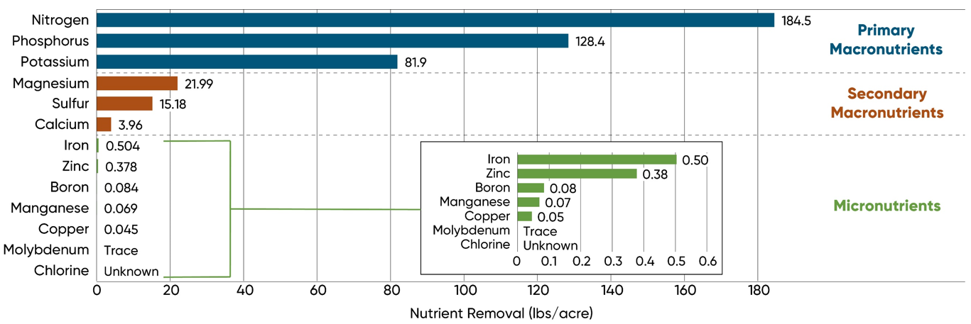 Chart showing the amount of macro and micronutrients removed with a high-yielding hybrid corn crop.