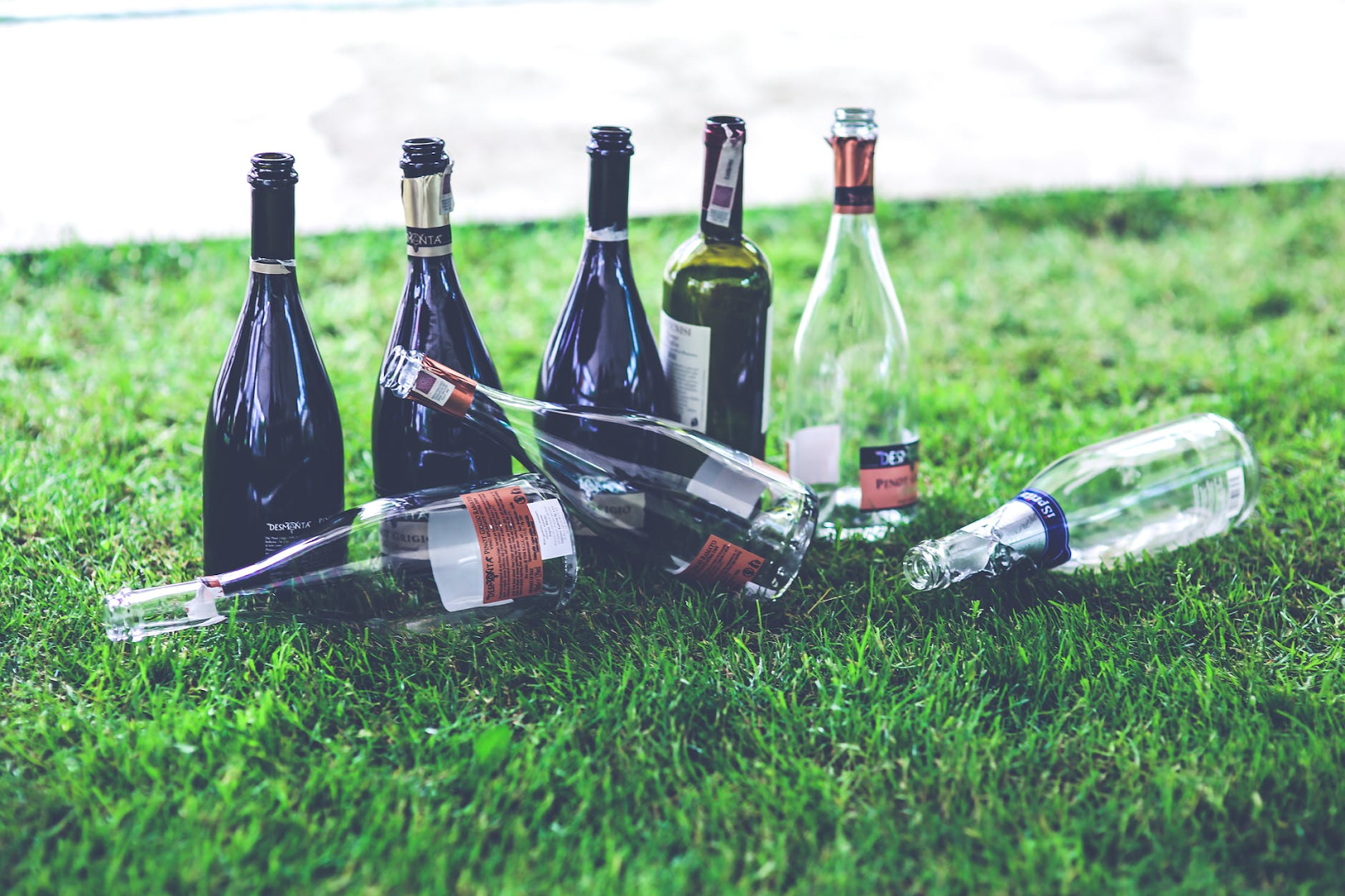 empty wine bottles on grass
