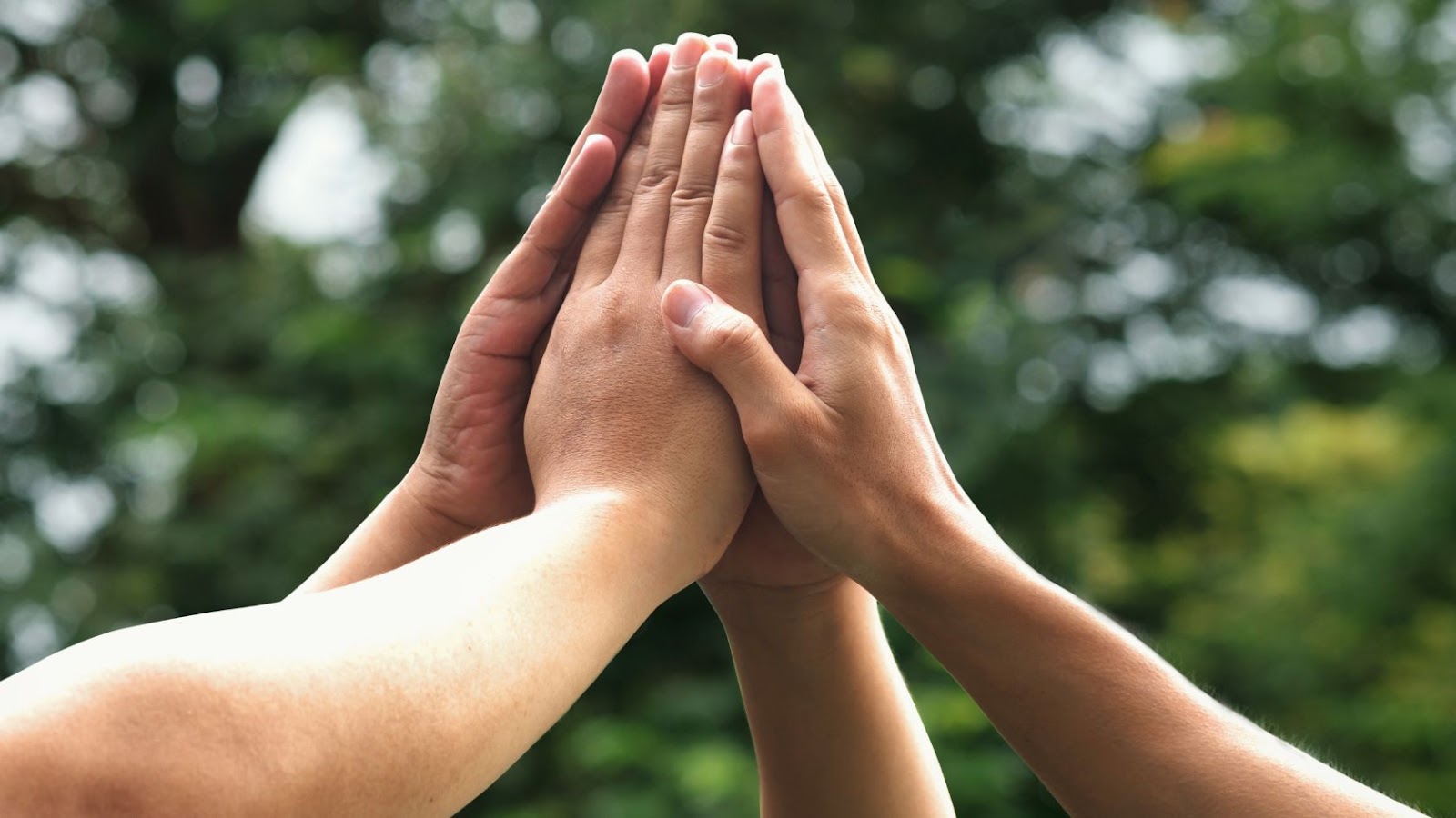 Equipping Your Team for Employee Development Success