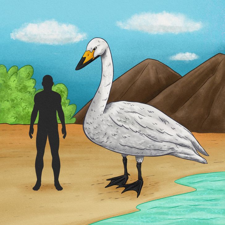 Las 12 aves prehistóricas más grandes que han existido / Genial