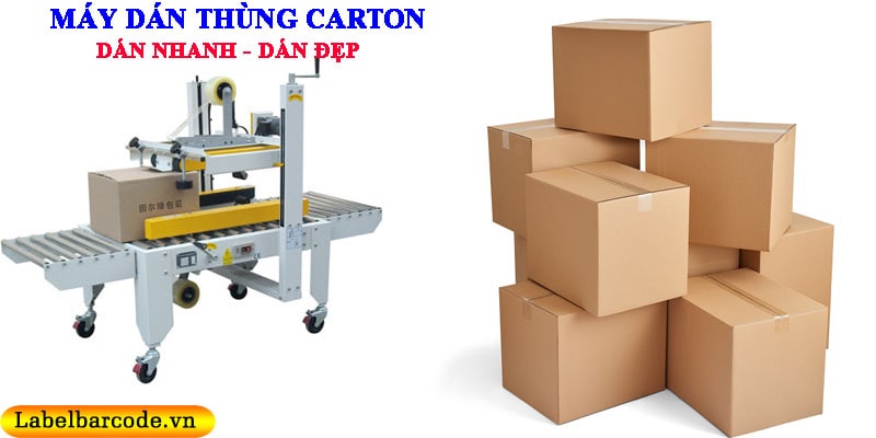 may-dan-thung-carton