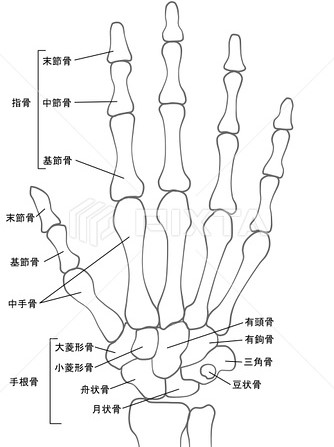 指骨骨折 ためになるブログ