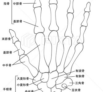 画像をダウンロード 指 末��� 骨 骨折 179817-指末節骨骨折 治療