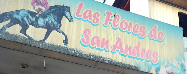 Comentarios y opiniones de Las Flores de San Andres