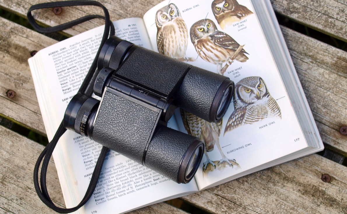binoculars for bird watching