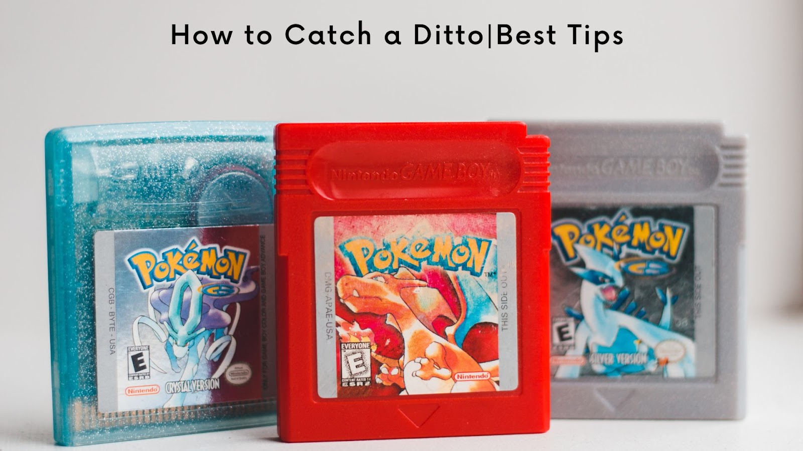 How to Catch a Ditto|Best Tips