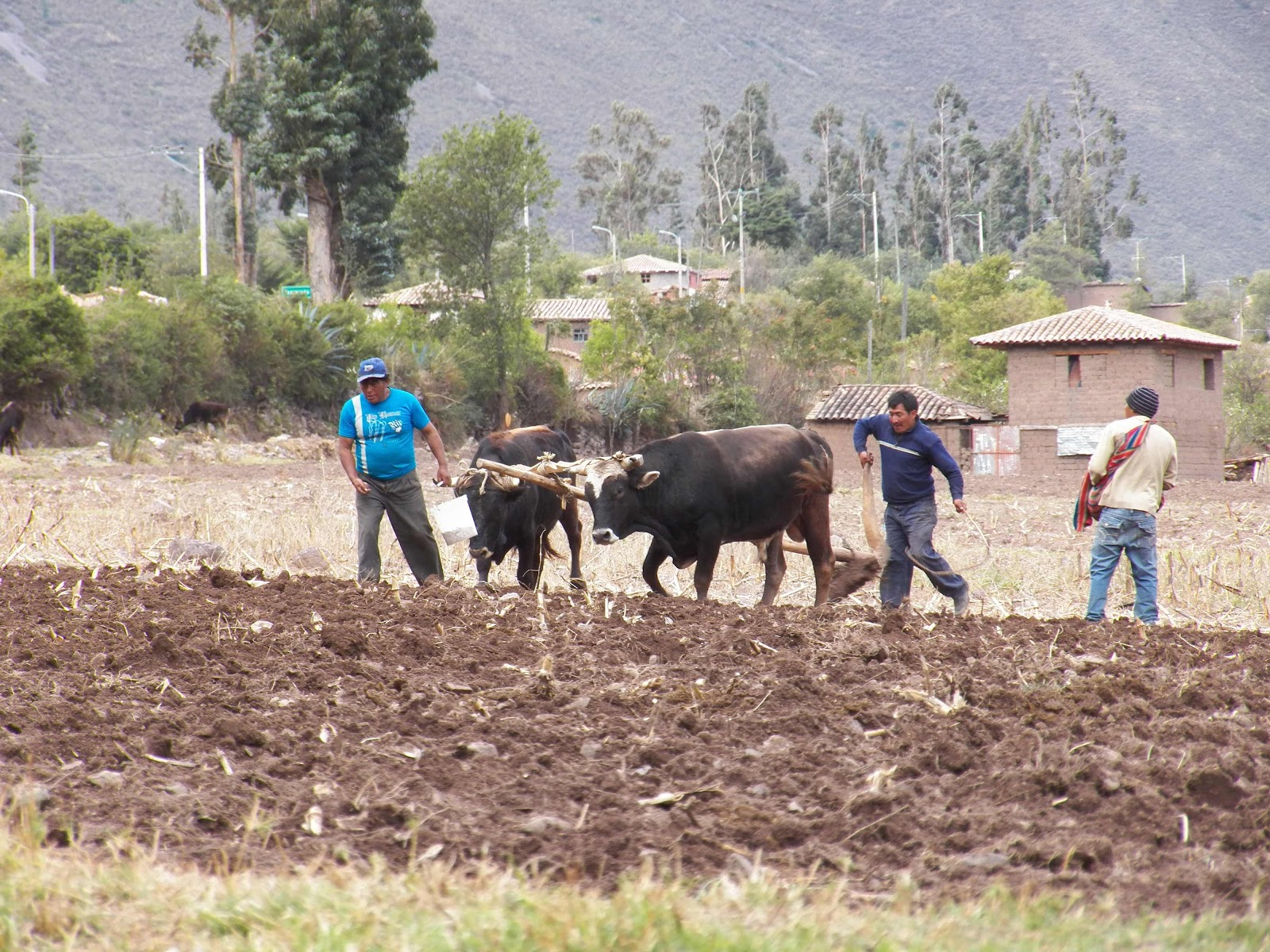 Ollantaytambo, Peru 