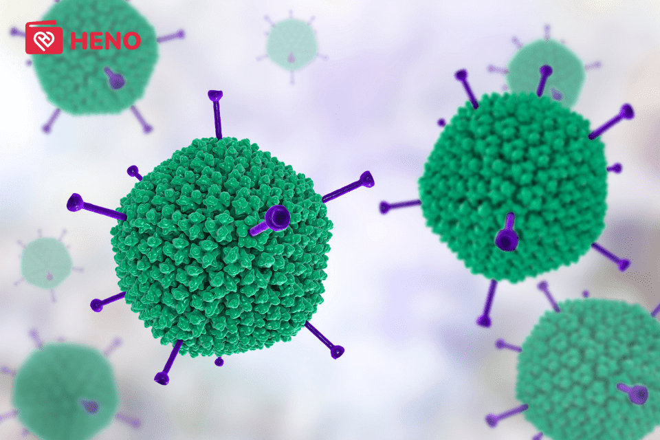 hình ảnh Adenovirus - tình nghi gây bệnh viêm gan ở trẻ