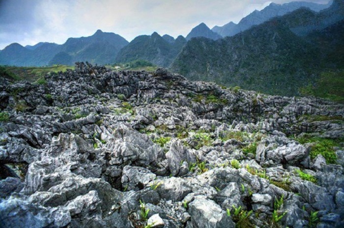 Tour du lịch miền Bắc - Cao nguyên đá Đồng Văn