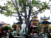 Chau Doc - Bồ Đề Đạo Tràng_).jpg