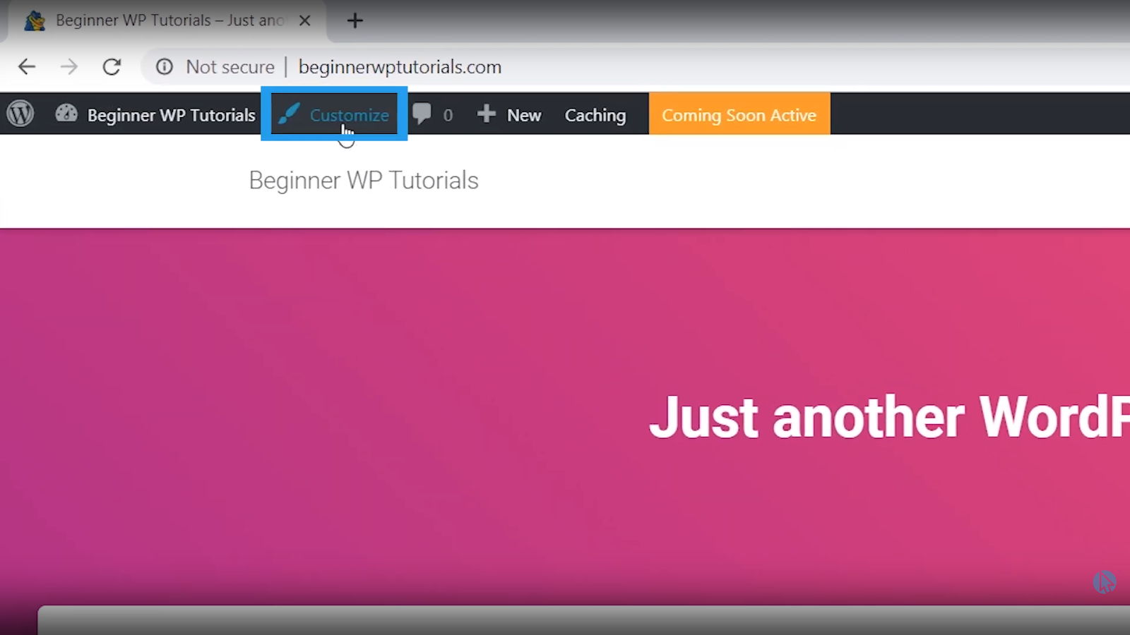 customize wordpress tutorial for beginners