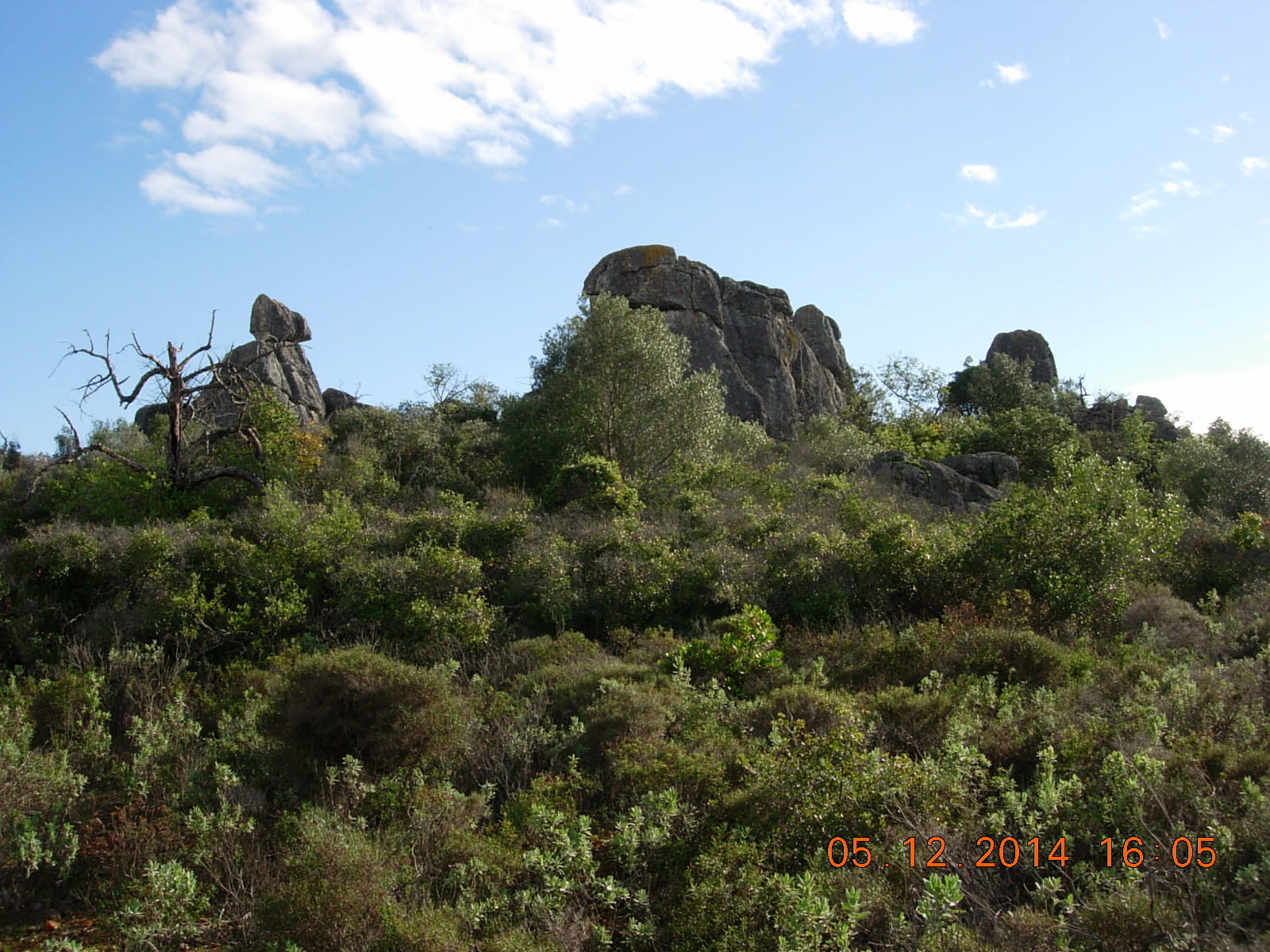 DSCN2836.JPG