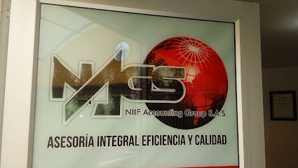 NAGS Niif Accounting Group SAS