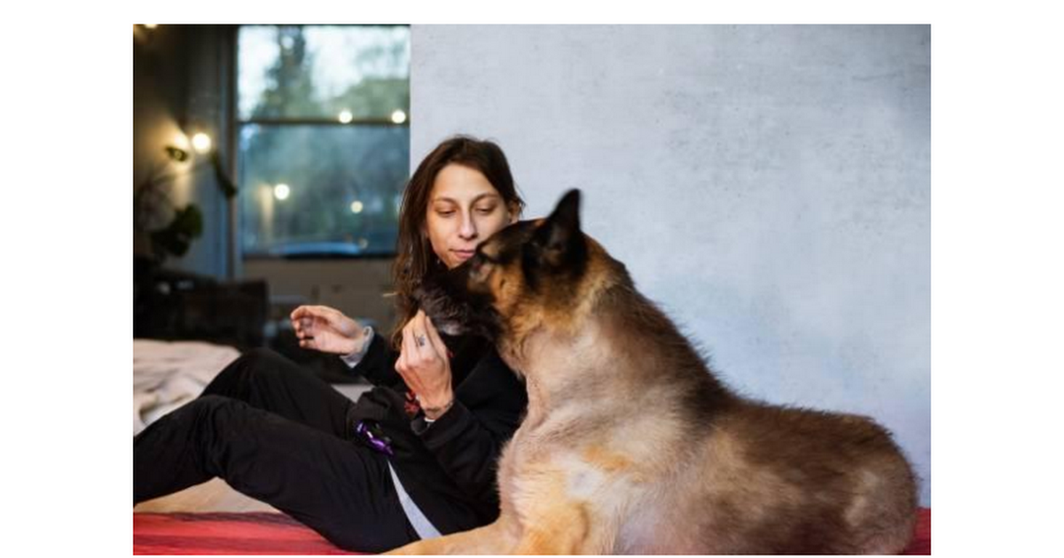 best-affordable-dog-food-for-german-shepherds-best-affordable-natural