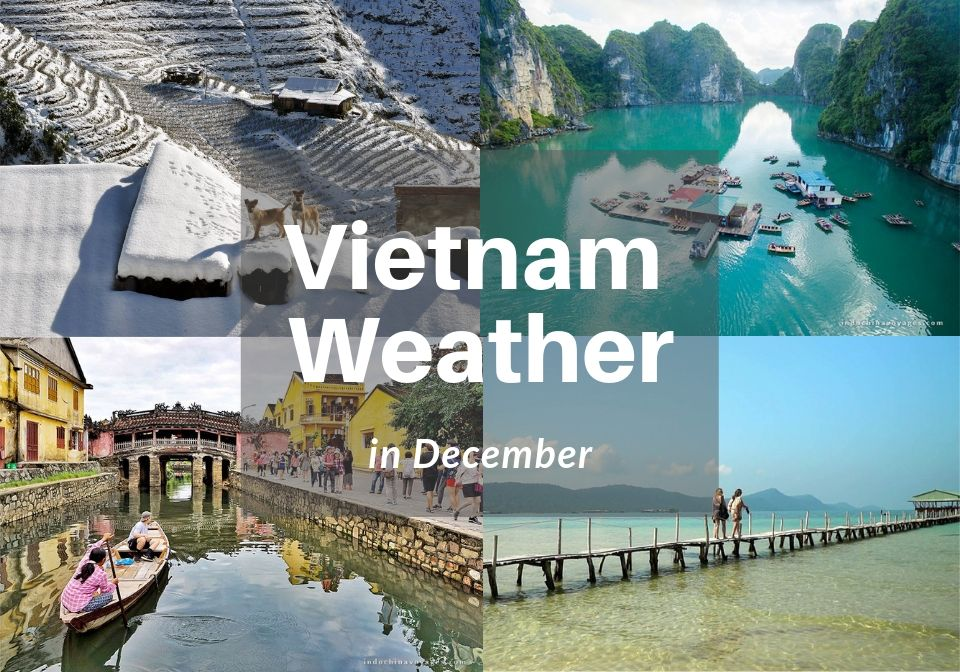 15 Useful Travel Apps For Independent Travel In Vietnam