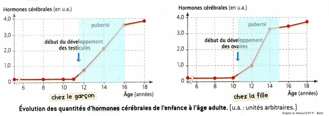 Hormones femme