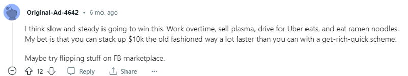 A Reddit comment suggesting flipping as a way to earn 10k a month.