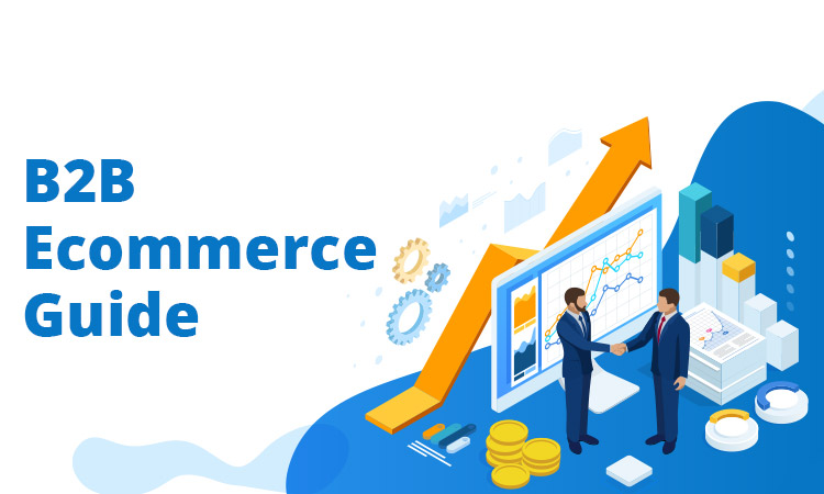 Business to Business eCommerce Solution – Features and Functionality Explained