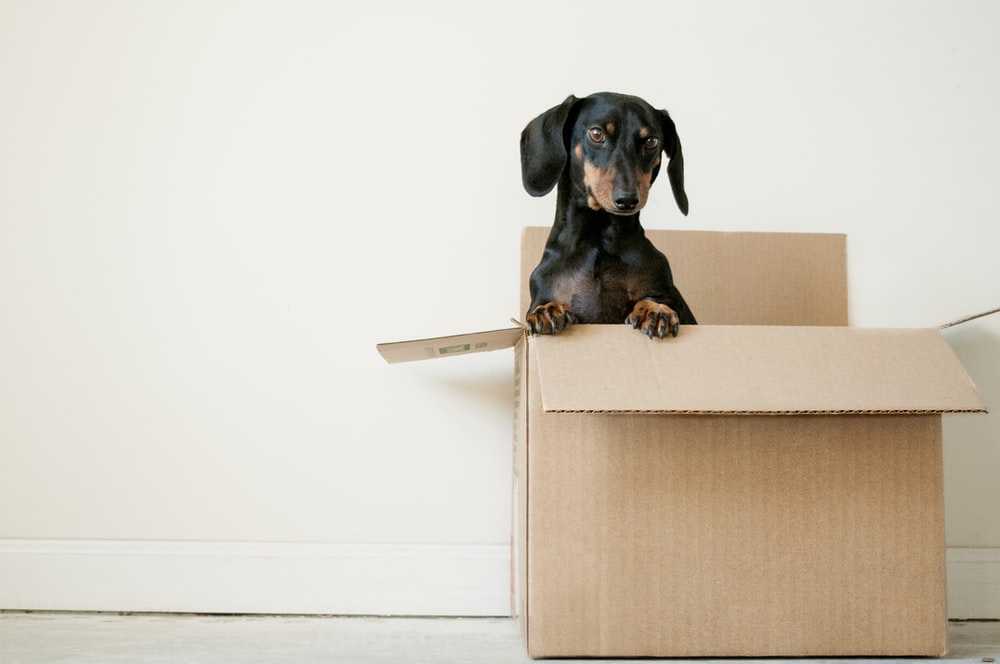 4 Signs It's Time to Move