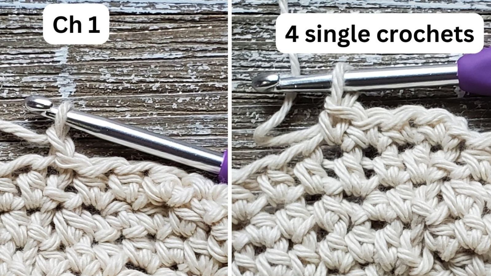 the 4 single crochets that start the ring of the bag holder