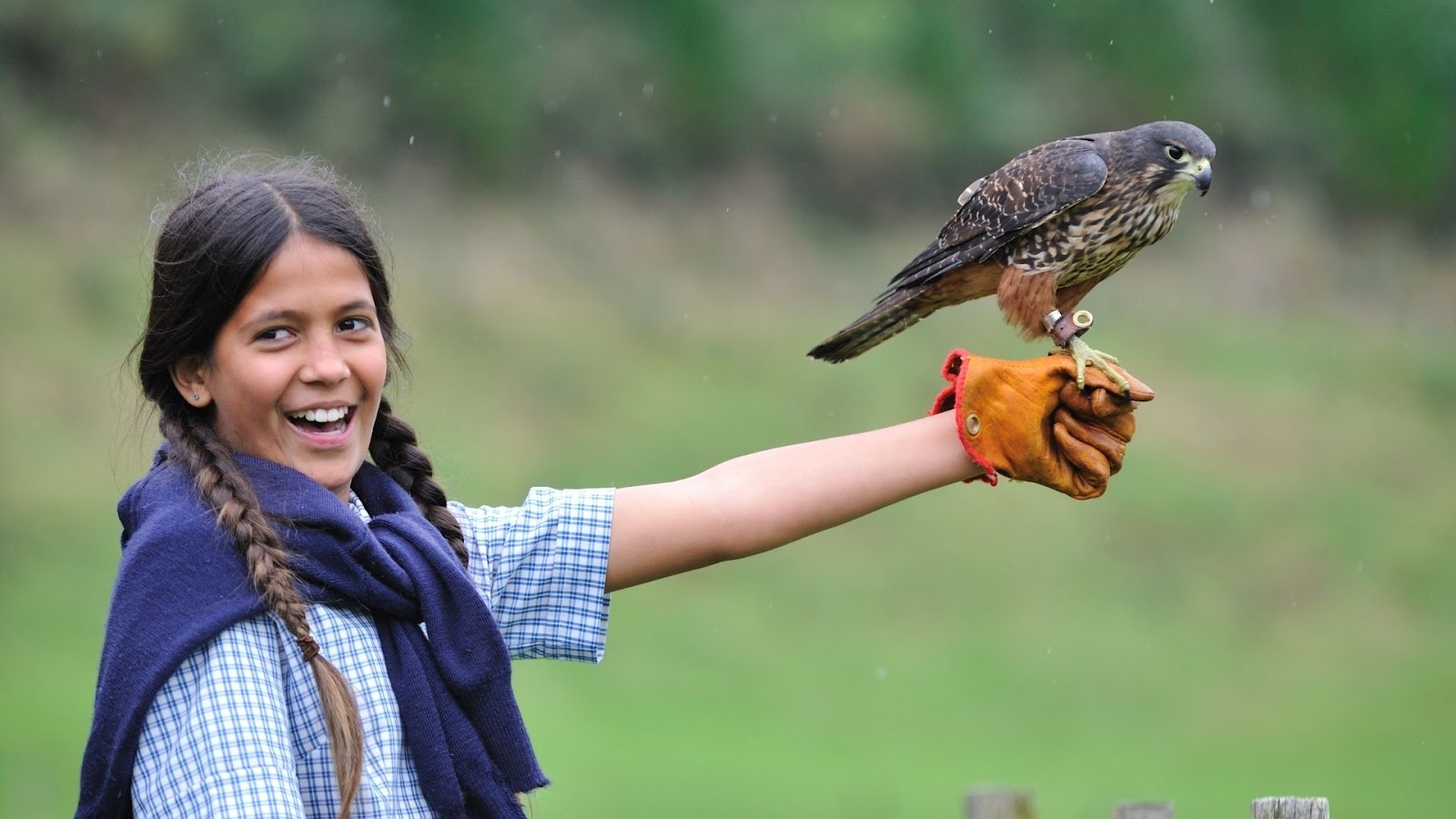 Girl holding bird of prey at Rotorua Birds of Prey Centre