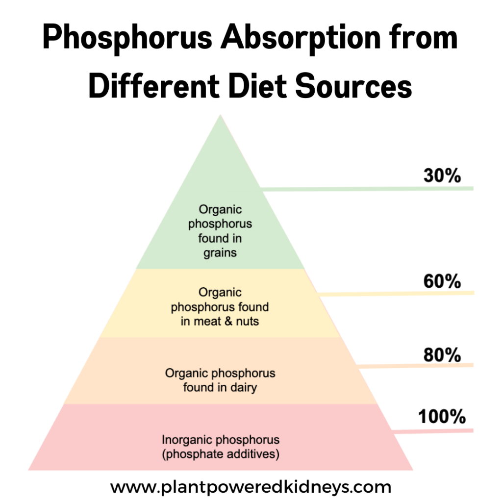 Phosphorus is an important consideration in a renal diet grocery list. A pyramid reflecting phosphorus absorption rates. Organic phosphorus is at the top, absorbed at 30%. Next is organic phosphorus found in meat and nuts at 60%. Below that is organic phosphorus found in dairy, absorbed at 80%. At the bottom of the pyramid is inorganic phosphorus (phosphate additives) absorbed at 100%.
