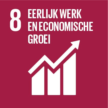 SDG 8: Regionaal ondernemerschap 5 SDG 8: Regionaal ondernemerschap