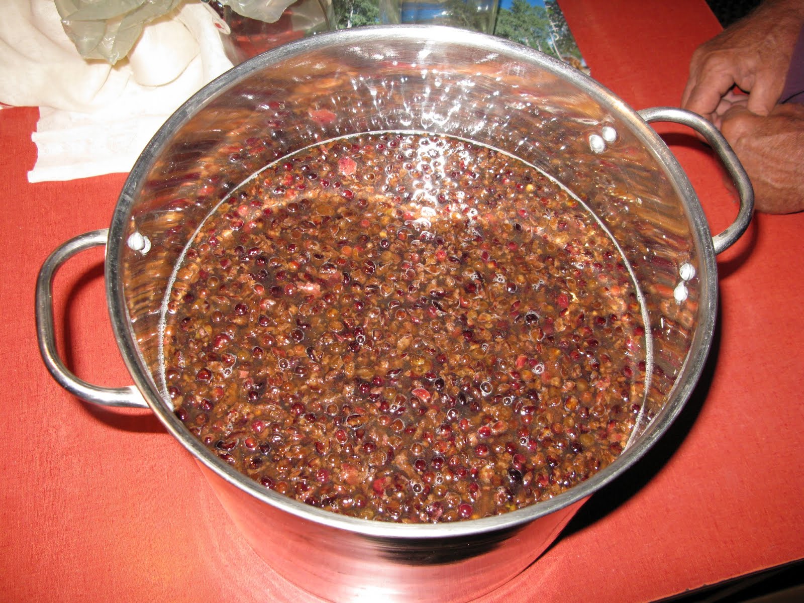 Chokecherry wine mixture before fermentation