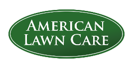 Best Lawn and Landscape Companies
