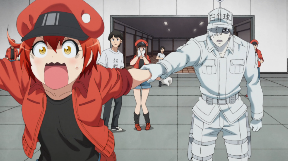 MONDO BIZARRO: Mondo Bizarro Reviews Anime: Cells At Work! (Season 1)