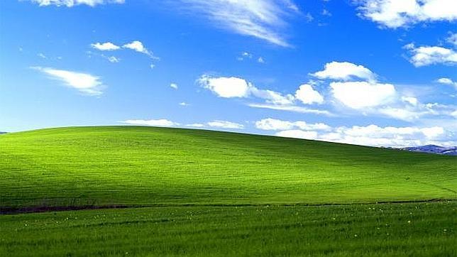 window.jpg