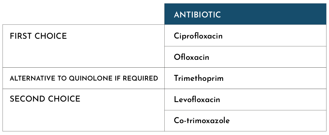 Antibiotic male UTI treatment