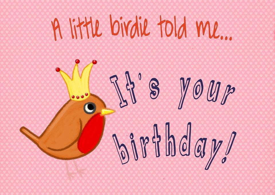 Bird, Birthday, Card, Pink, Modern, Fun, Design