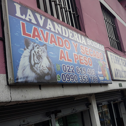 Opiniones de Lavanderia Bozmas en Quito - Lavandería
