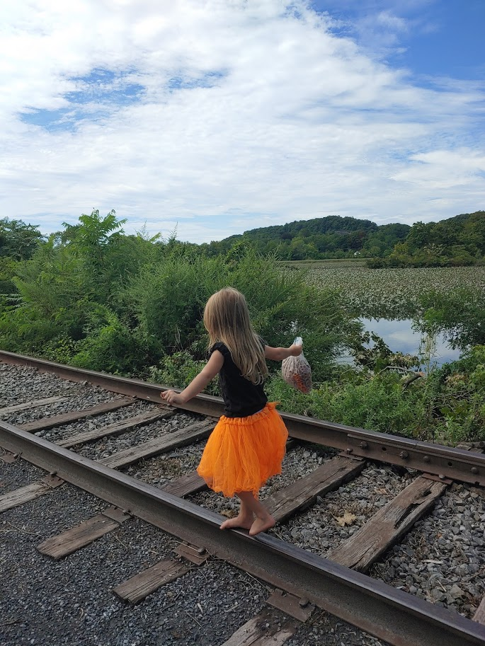 kingston point rail trail