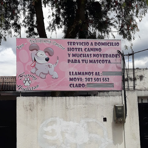 Opiniones de Funny Huellitas en Quito - Guardería