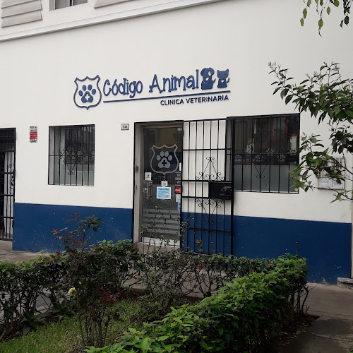 Clínica Veterinaria Código Animal - Lima