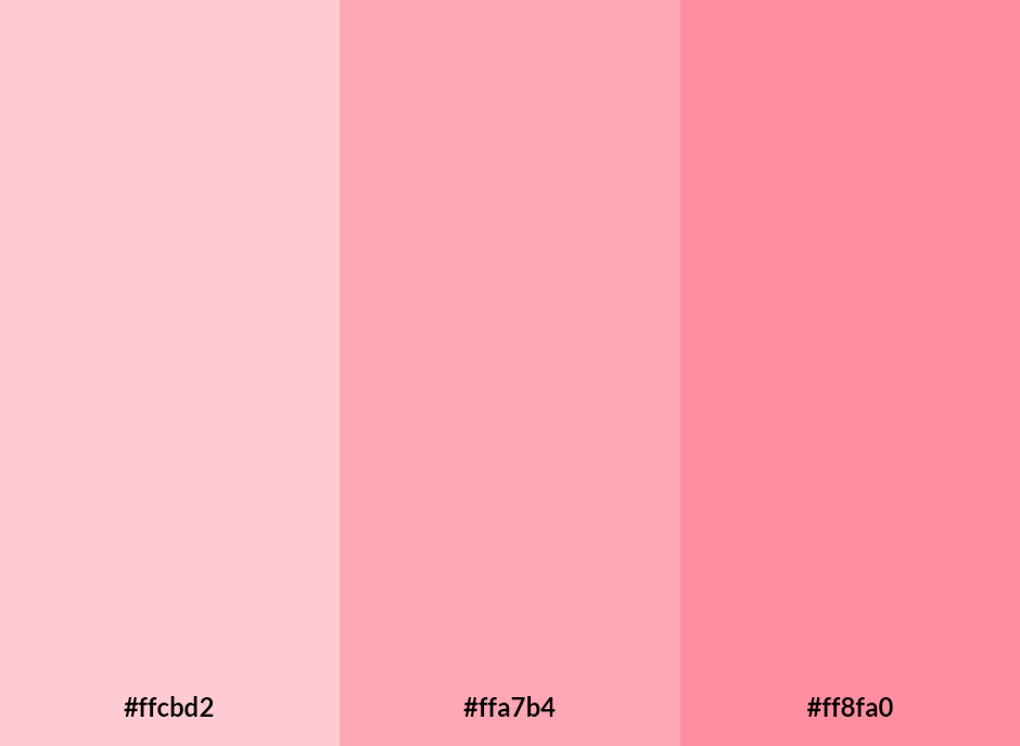 blush pink palette.jpg